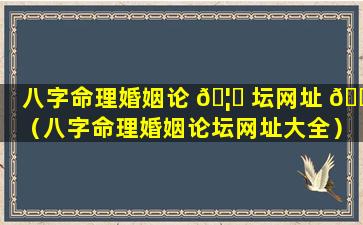 八字命理婚姻论 🦆 坛网址 🐒 （八字命理婚姻论坛网址大全）